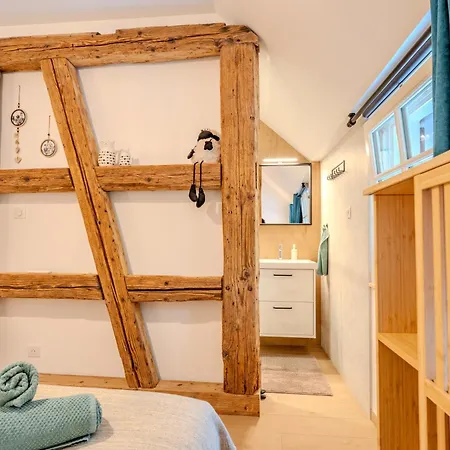 Apartment Le Frantz - Clim & Parking - Terrasse - Route Des Vins - Selestat